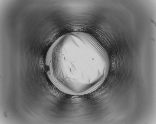 X0000096400620200802141520