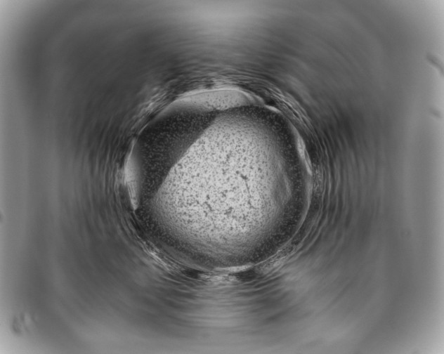 X0000096400621200802141520