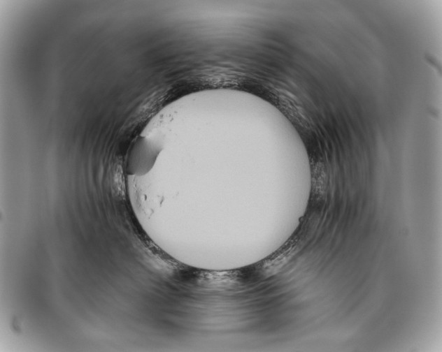 X0000096400622200802141520