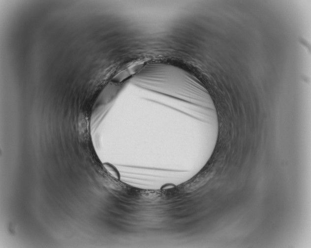 X0000096400624200802141520