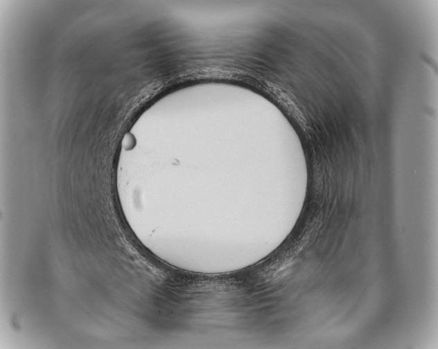 X0000096400625200802141519