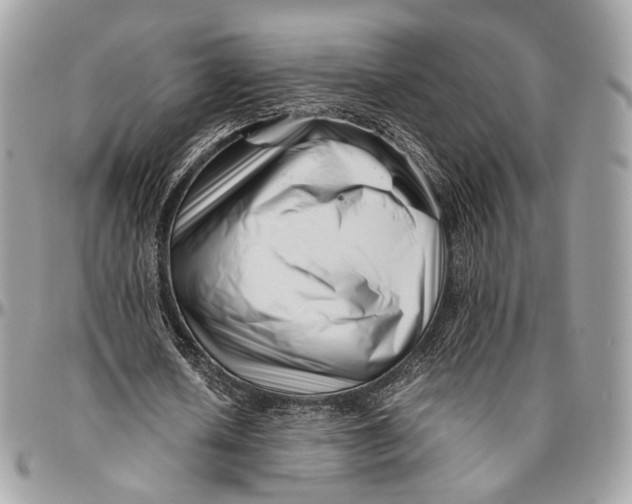 X0000096400626200802141519