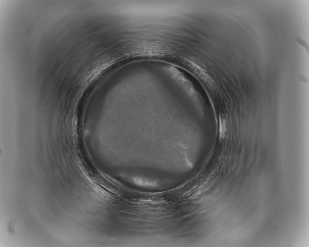 X0000096400627200802141519