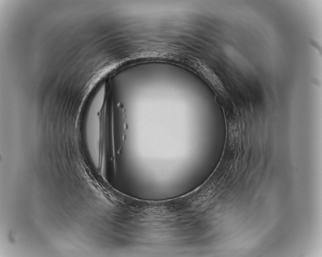 X0000096400628200802141519