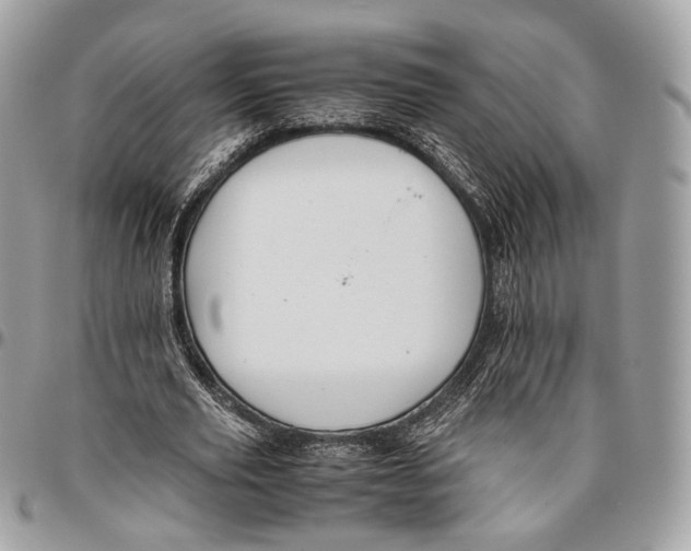 X0000096400629200802141519