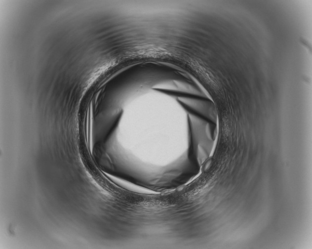 X0000096400630200802141519