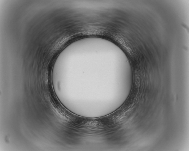 X0000096400631200802141519