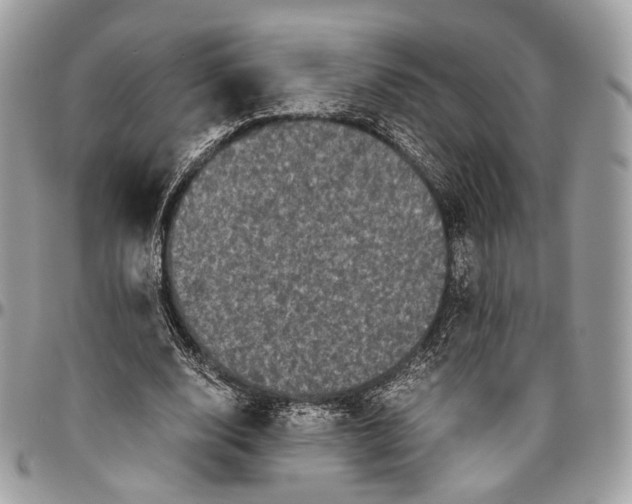 X0000096400632200802141519