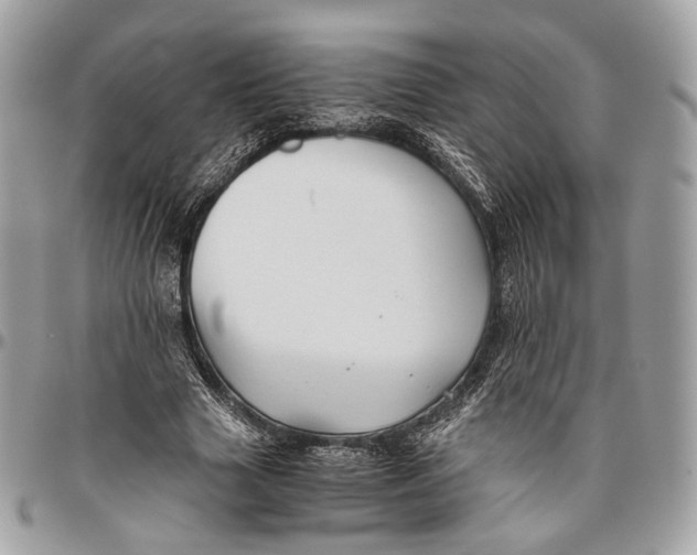 X0000096400633200802141519