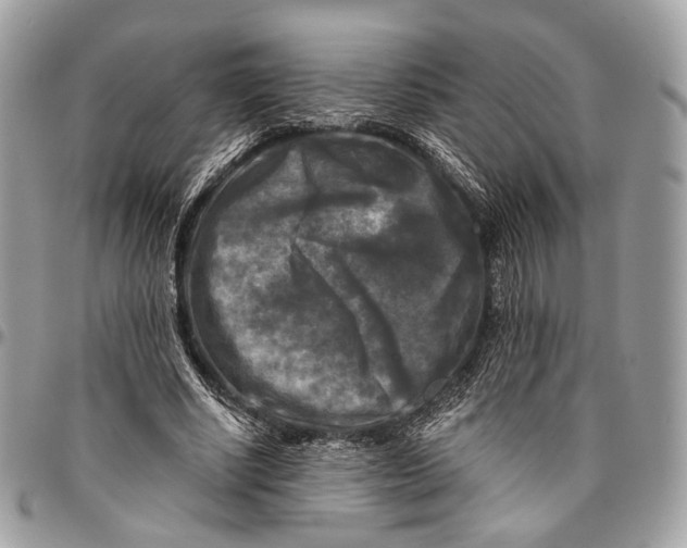 X0000096400634200802141519