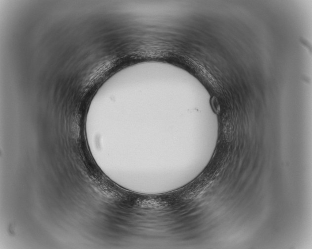 X0000096400635200802141519