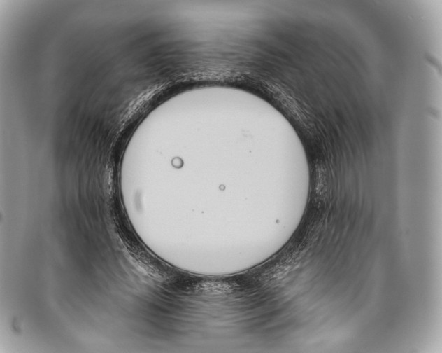 X0000096400636200802141519