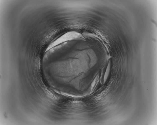 X0000096400637200802141519