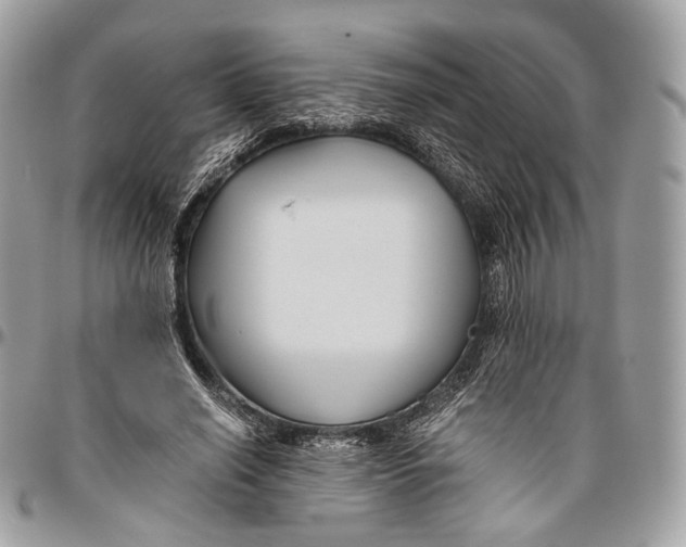 X0000096400638200802141519