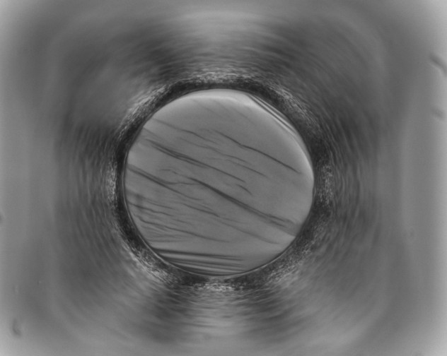 X0000096400640200802141519