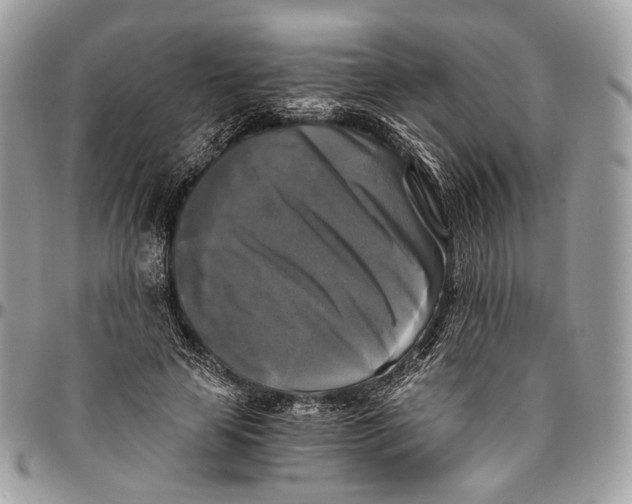 X0000096400641200802141519