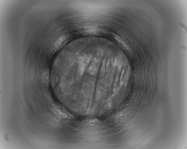 X0000096400642200802141519