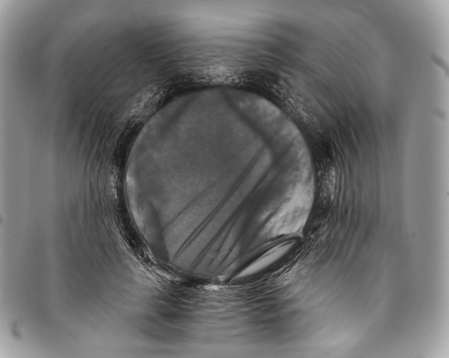 X0000096400643200802141519