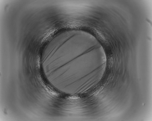 X0000096400644200802141519