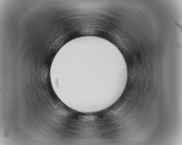 X0000096400645200802141519