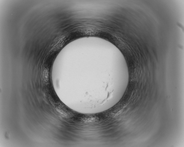 X0000096400646200802141519