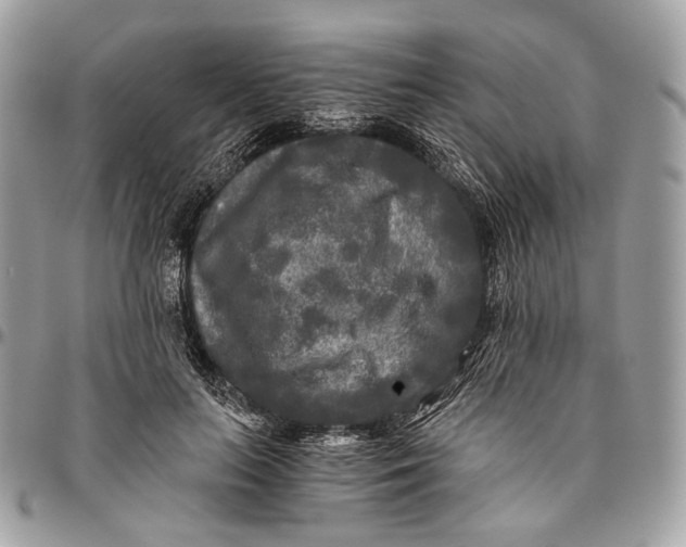 X0000096400647200802141519