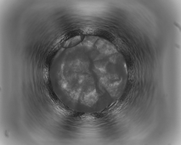 X0000096400648200802141519