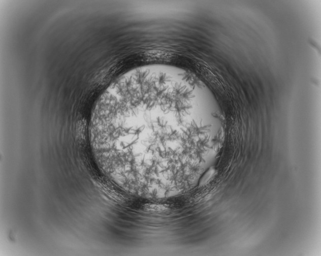 X0000096400649200802141519