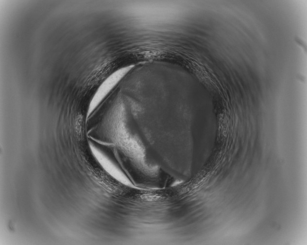 X0000096400650200802141519