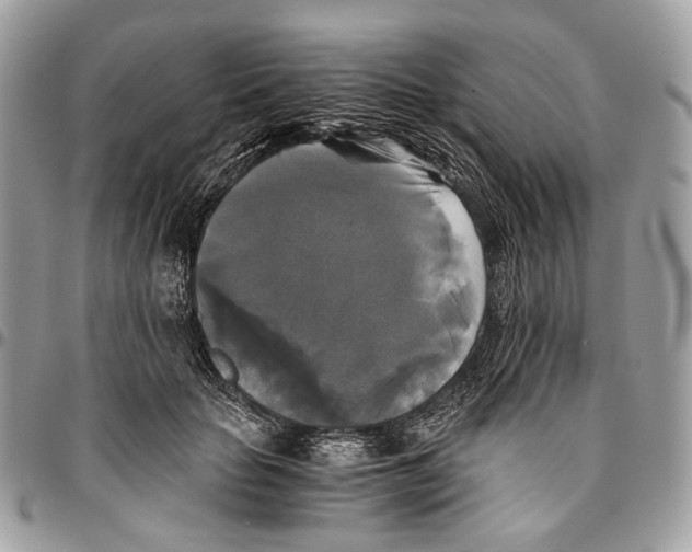 X0000096400653200802141519