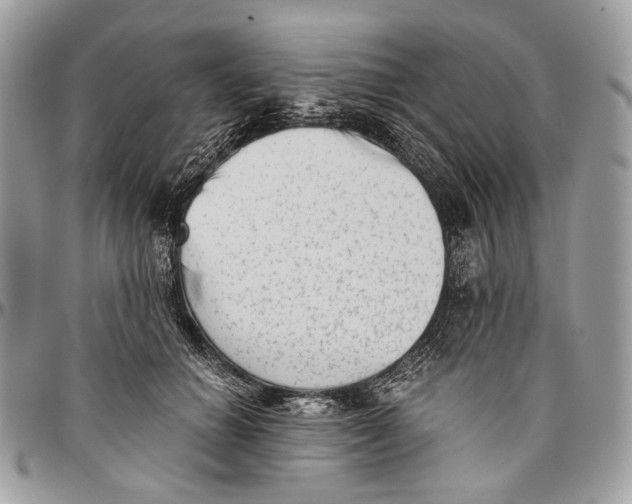 X0000096400654200802141519