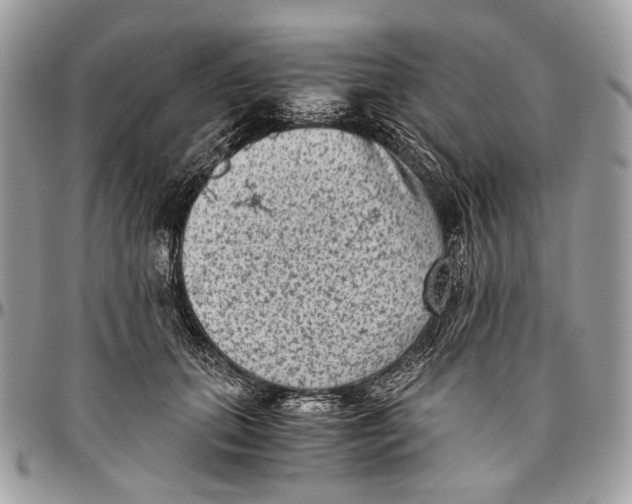 X0000096400655200802141519