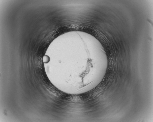 X0000096400656200802141519