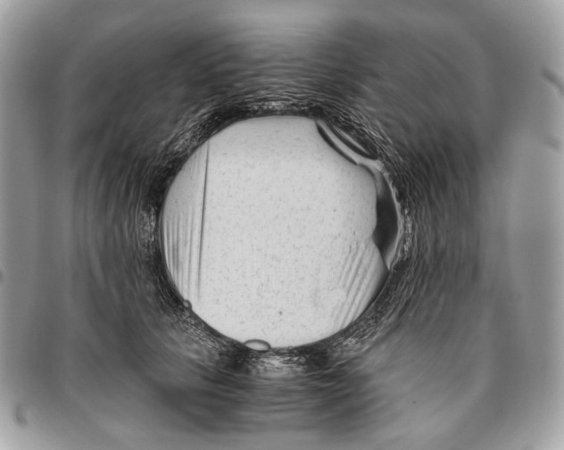 X0000096400657200802141519