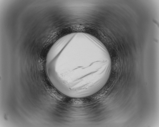 X0000096400658200802141519