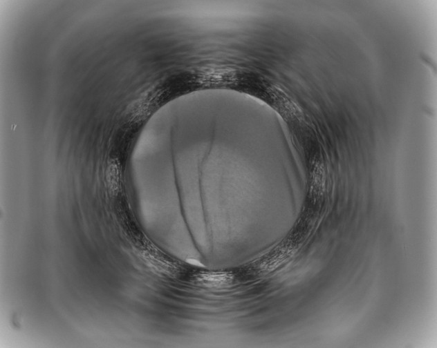 X0000096400659200802141519