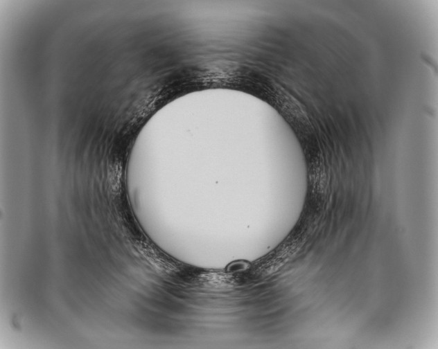 X0000096400660200802141519