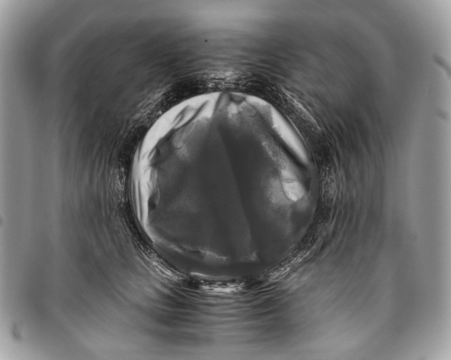 X0000096400661200802141519