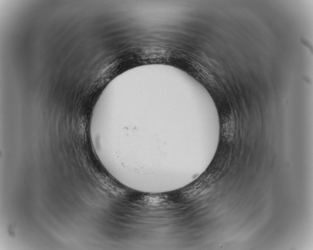 X0000096400662200802141519