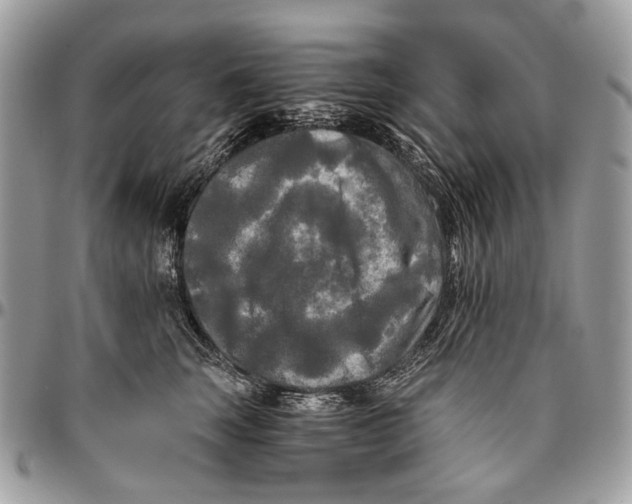 X0000096400663200802141519