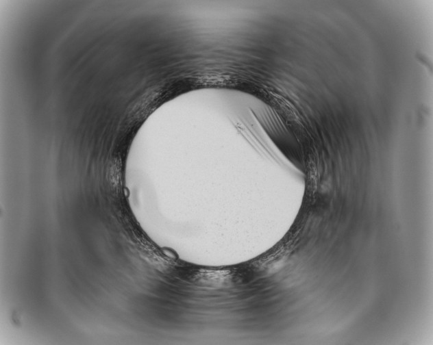 X0000096400665200802141519