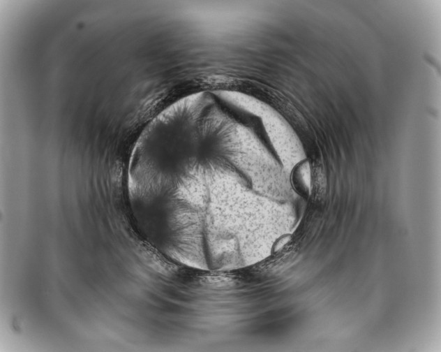 X0000096400668200802141519