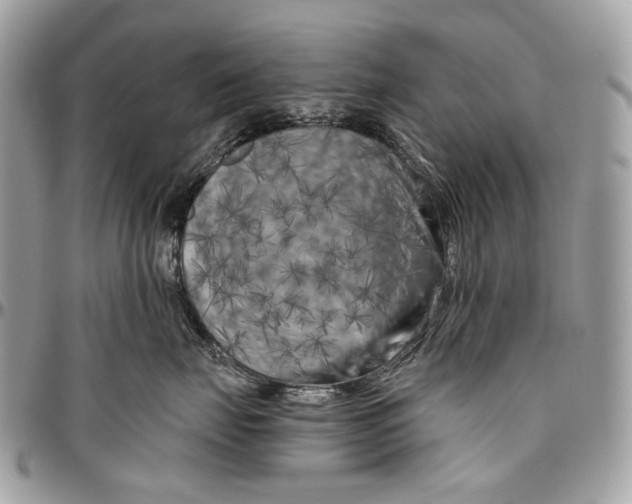 X0000096400671200802141520