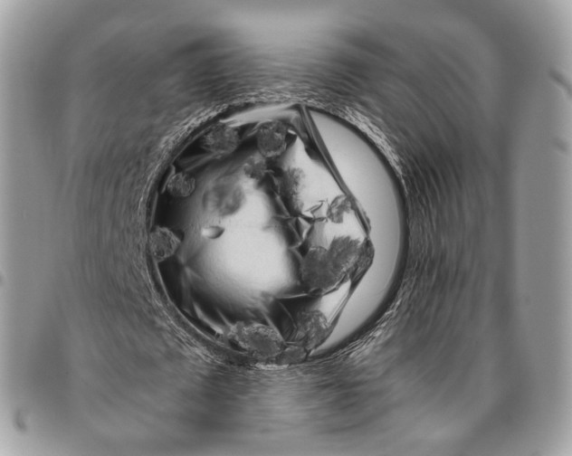 X0000096400673200802141519