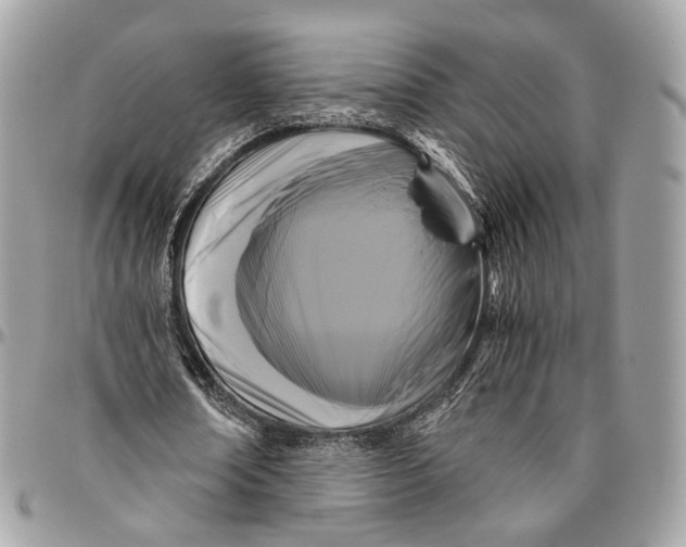 X0000096400674200802141519