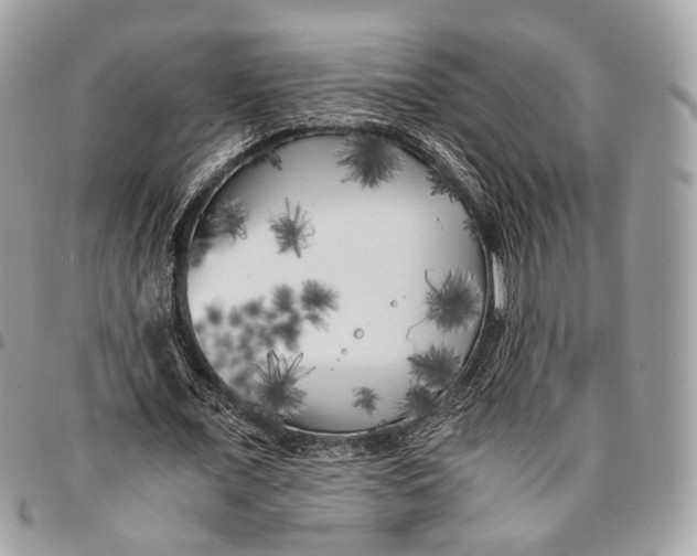 X0000096400675200802141519