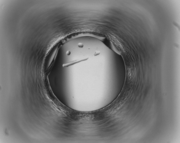 X0000096400676200802141519