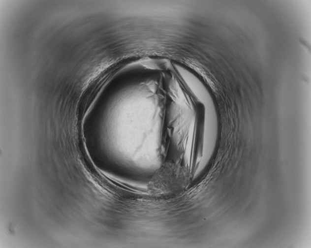 X0000096400677200802141519