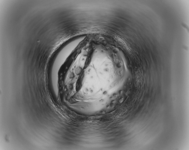 X0000096400680200802141519