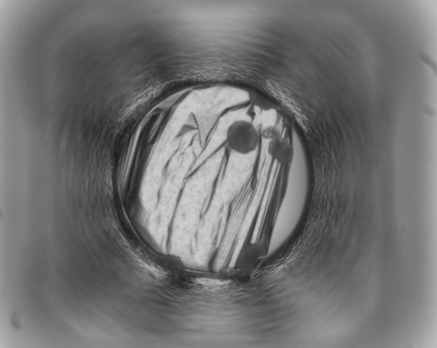 X0000096400681200802141519